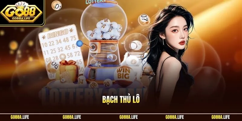 Bạch thủ lô bí kíp